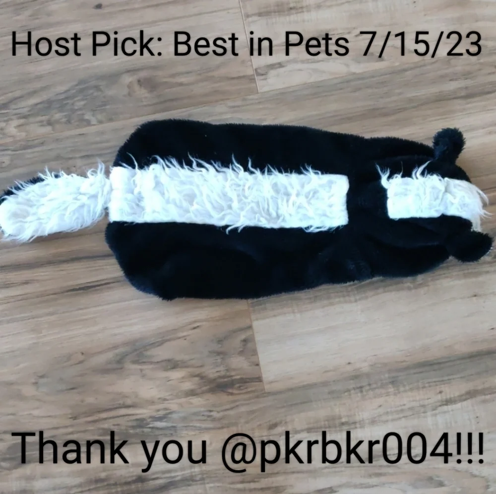 🎉2X Host Pick🎉 EUC Pet skunk costume